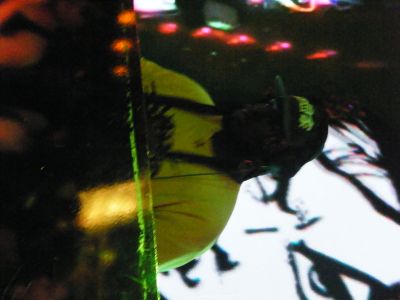 Dazegod performing at Club Contact