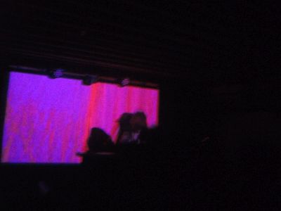 Photo taken by Ashley Lopez at joey cash's Valley Bar show